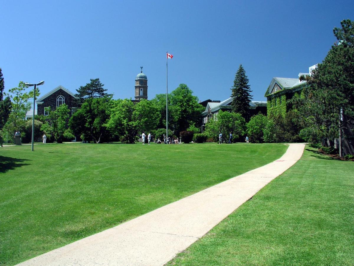 Dalhousie University هاليفاكس المظهر الخارجي الصورة